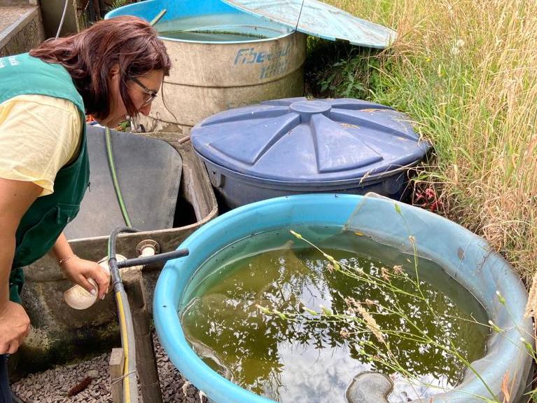 Secretaria da Saúde pede auxílio em combate à dengue (Foto: Reprodução/Karina Schmidt/Serra em Pauta)