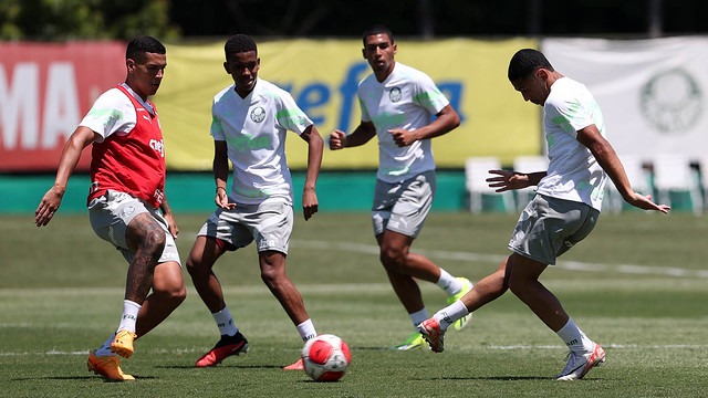 Jogadores do Palmeiras durante treino