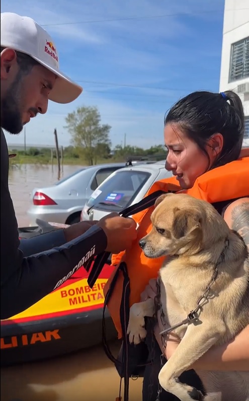 Pessoas e animais são resgatados no Rio Grande do Sul