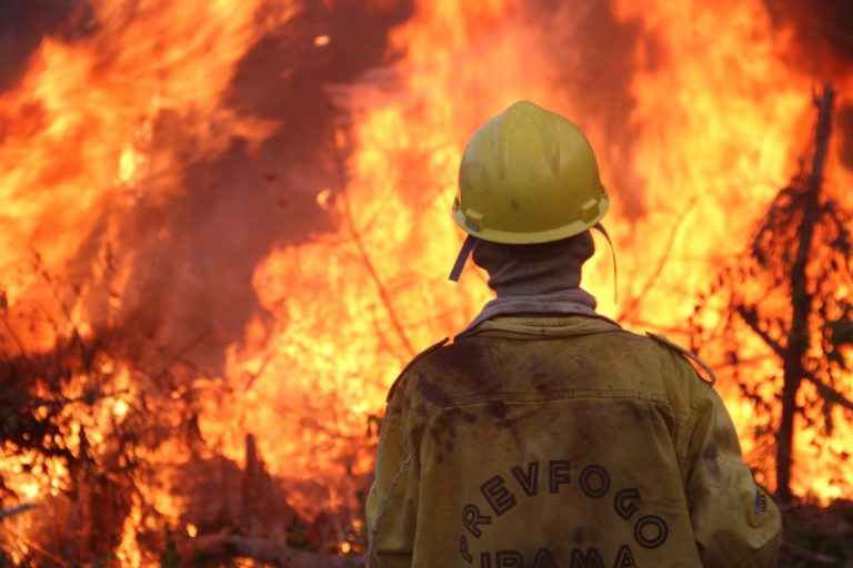 Incêndio Roraima