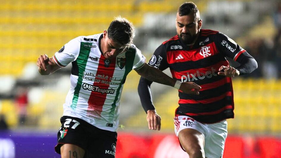 Flamengo e palestino