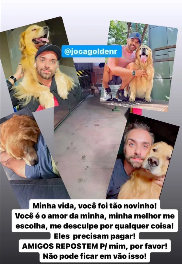 cão aparece sem vida em aeroporto