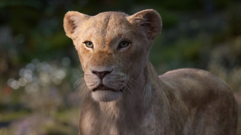 Cena da personagem Nala no live action "O Rei Leão"