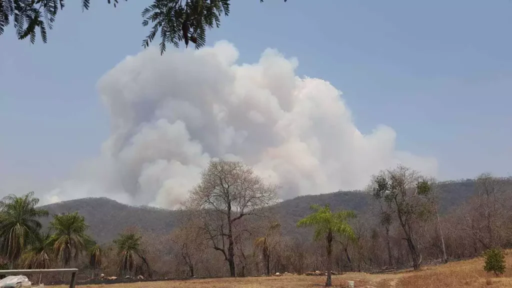 Fumaça em incêndio 