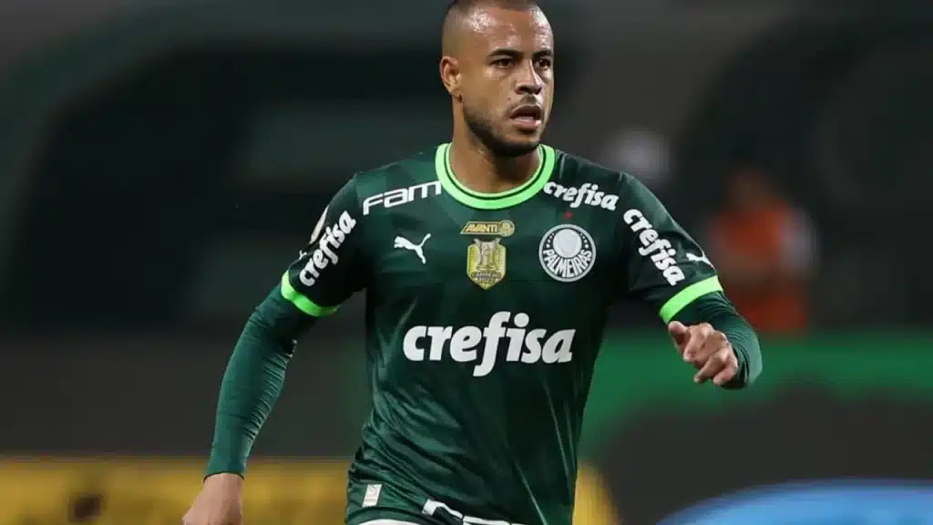 Mayke Palmeiras 