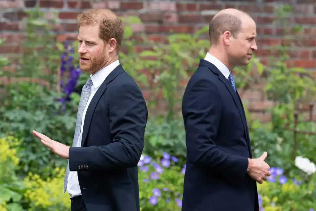 Harry e William