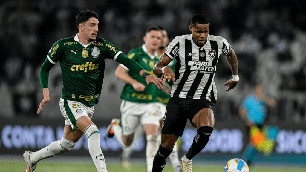 Botafogo X Palmeiras, durante partida contra no Nilton Santos pelo Campeonato Brasileiro 2024. (Foto: Thiago Ribeiro/AGIF)
